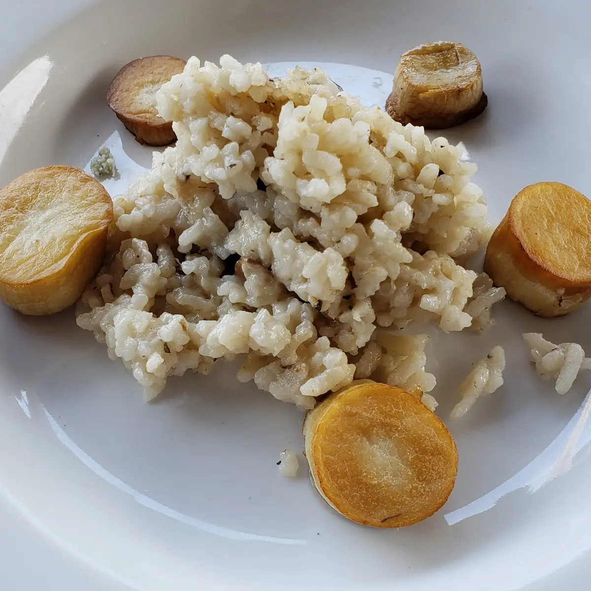 Oyster Mushroom Risotto