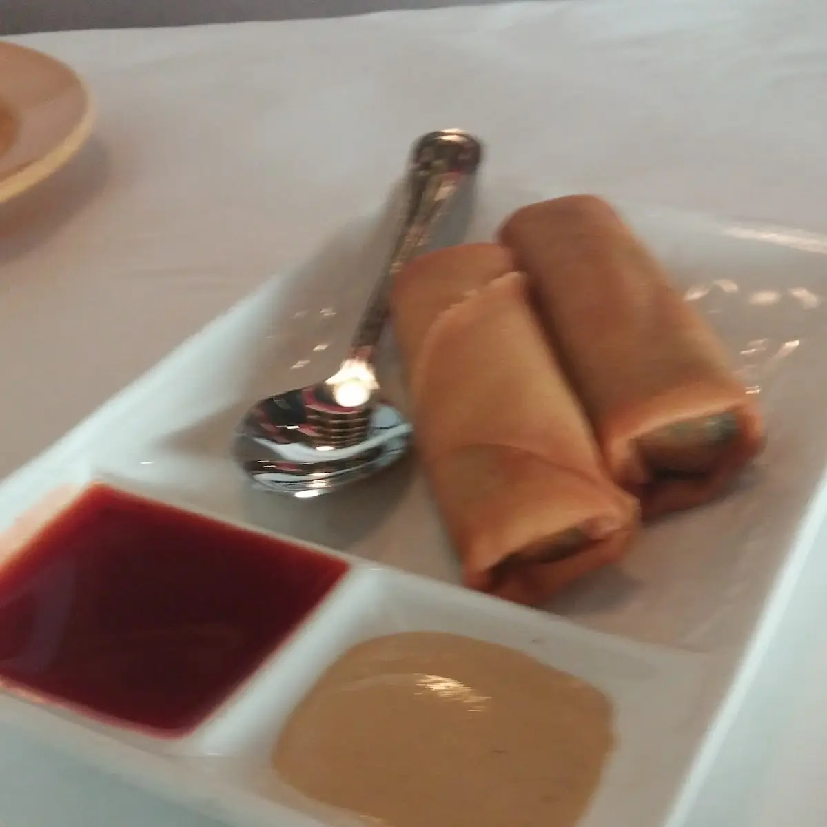 Spring Rolls-Fried