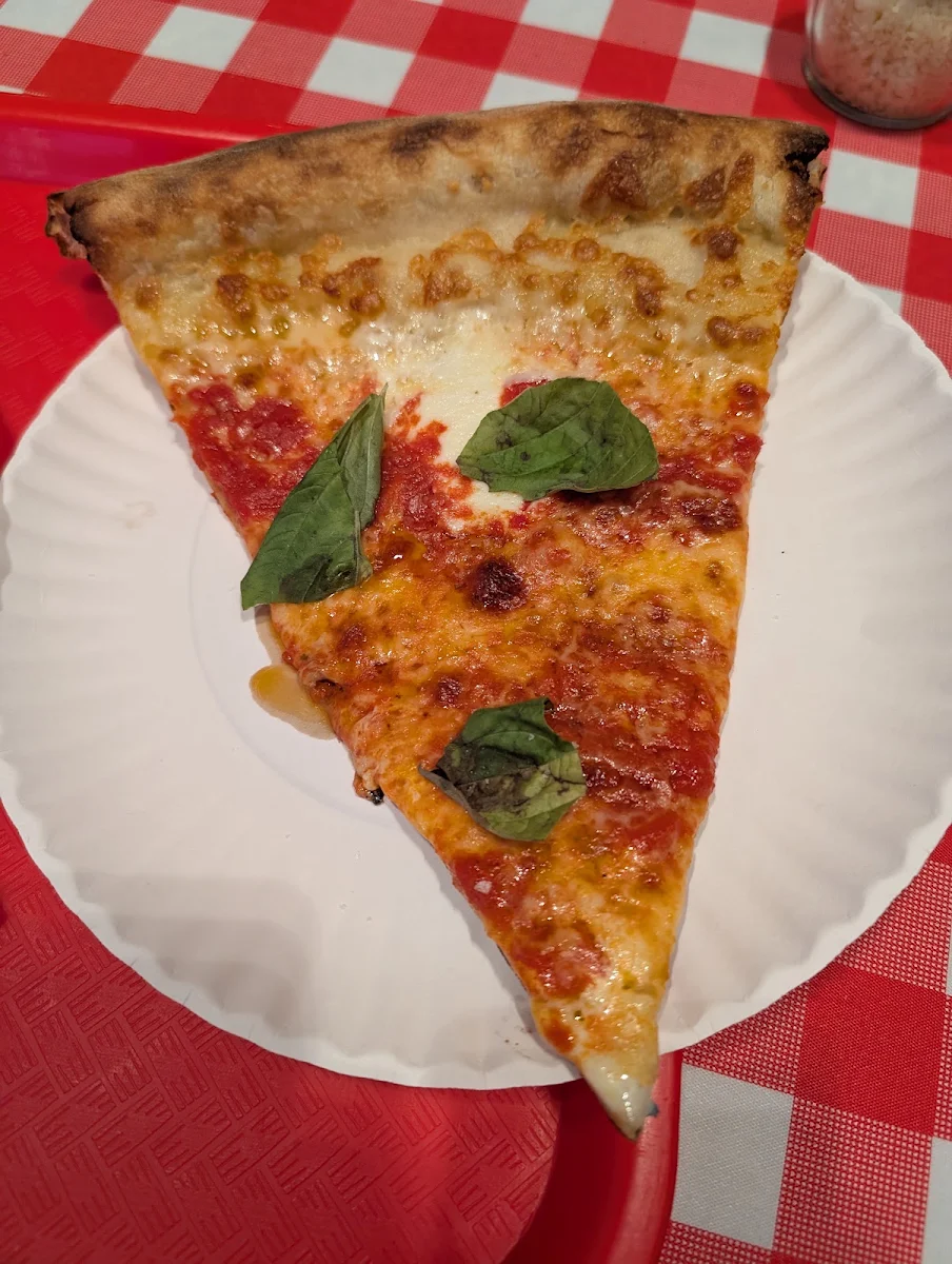 Thin Crust Margherita Pizza Slice