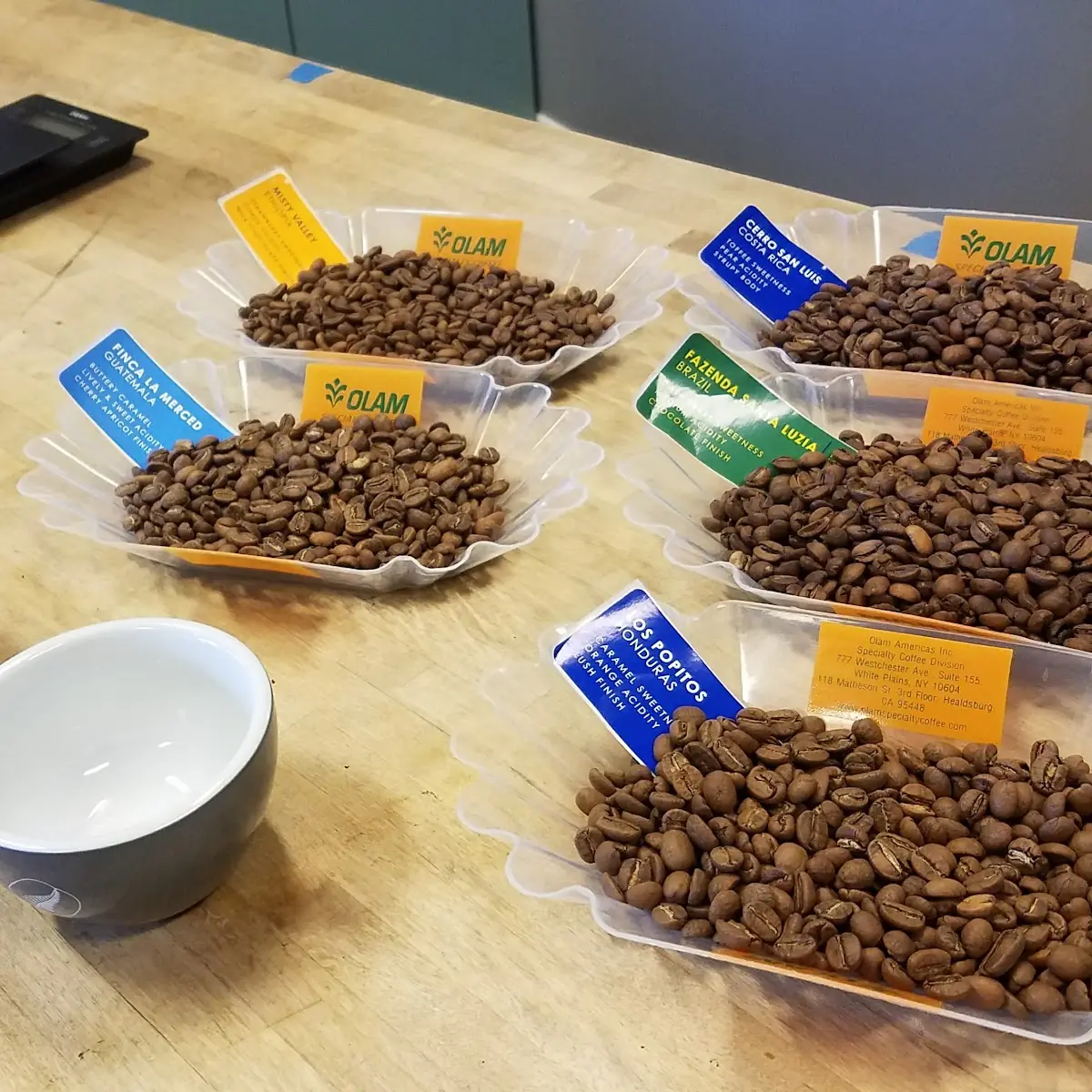 Kopi Luwak