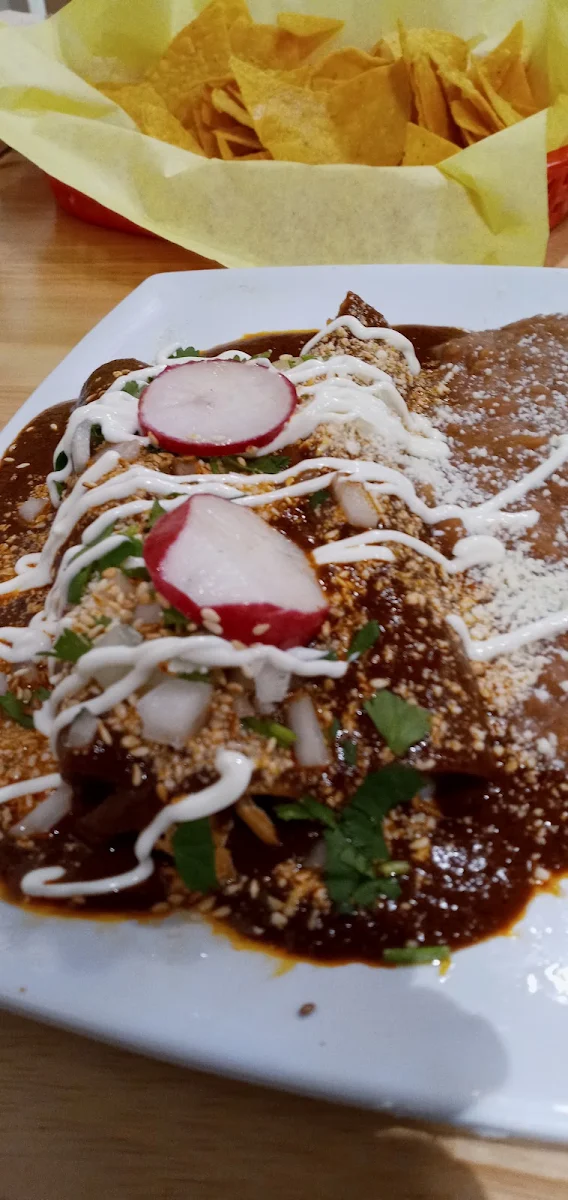 Mole Poblano Enchilada