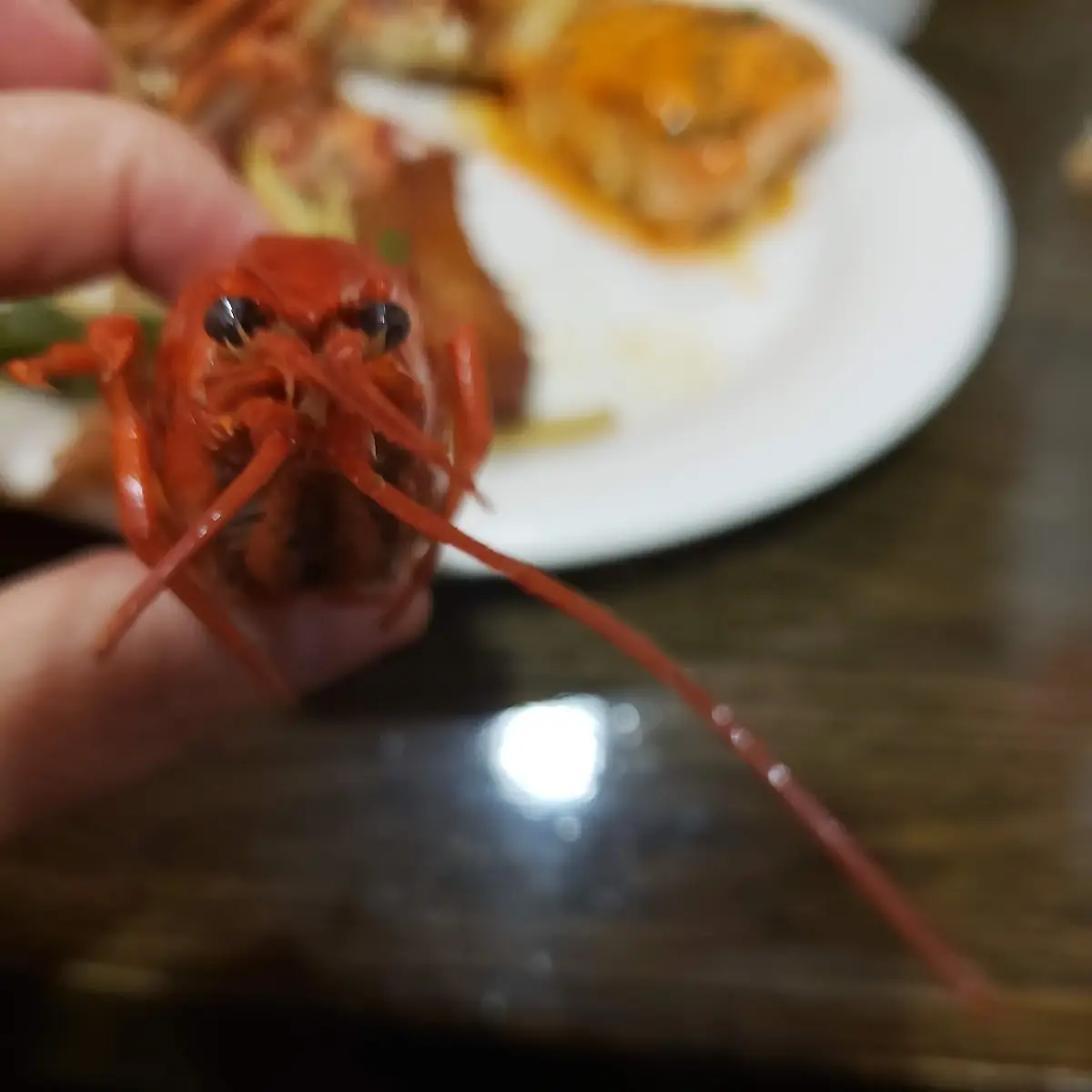 Lobster