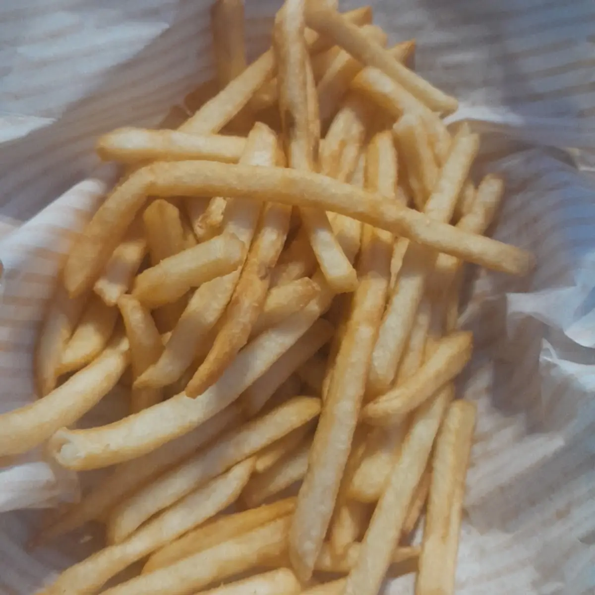 World Famous Fries