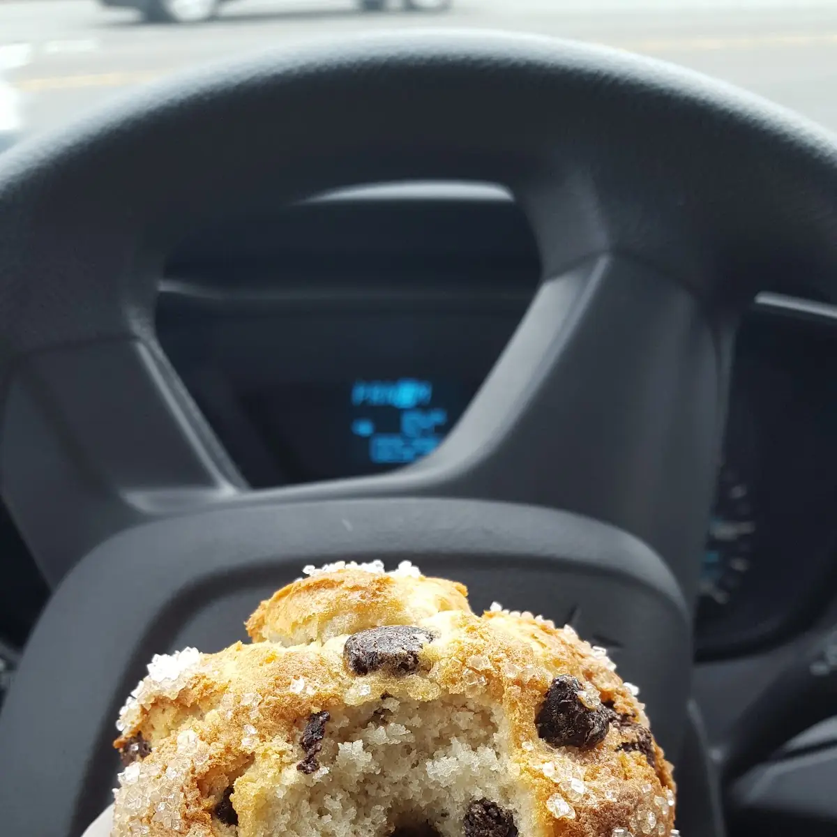Blueberry Muffin