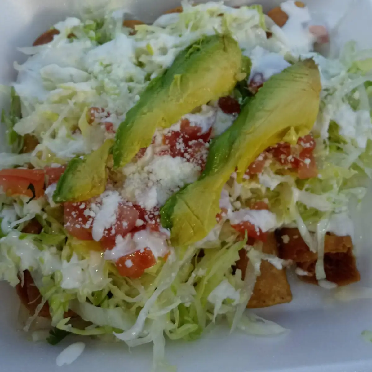 Burrito Carnitas