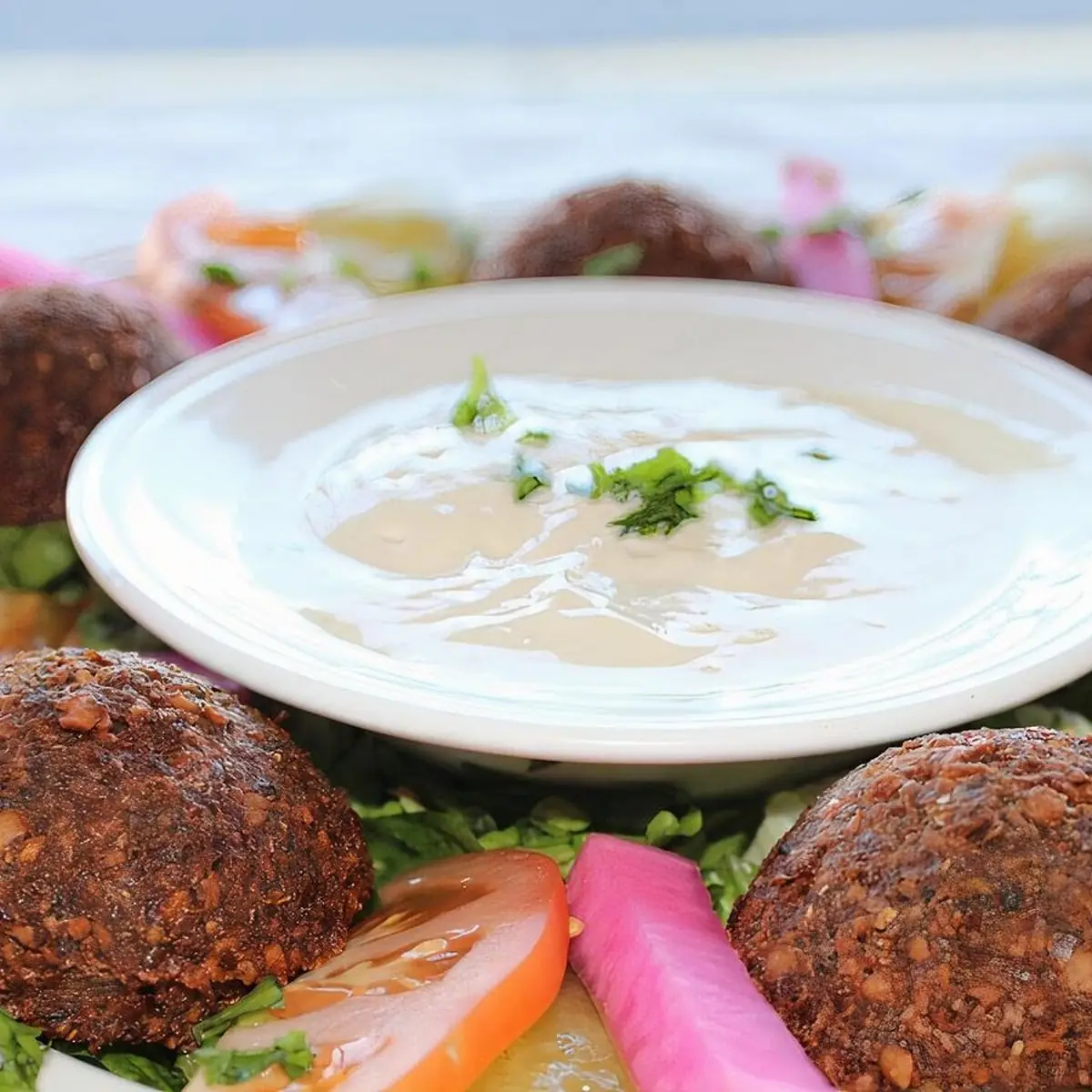 Egyptian Falafel Plate