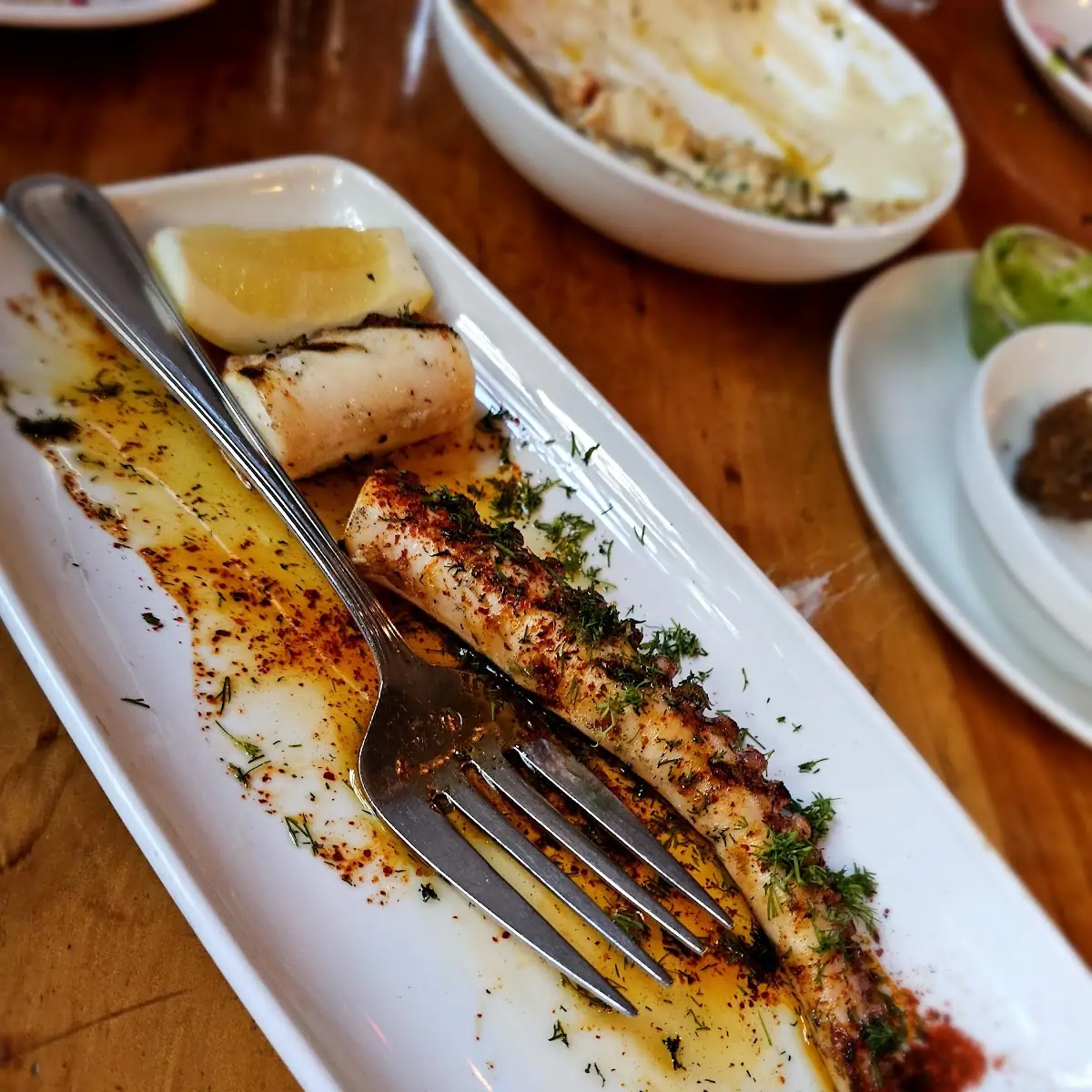 Grilled Octopus