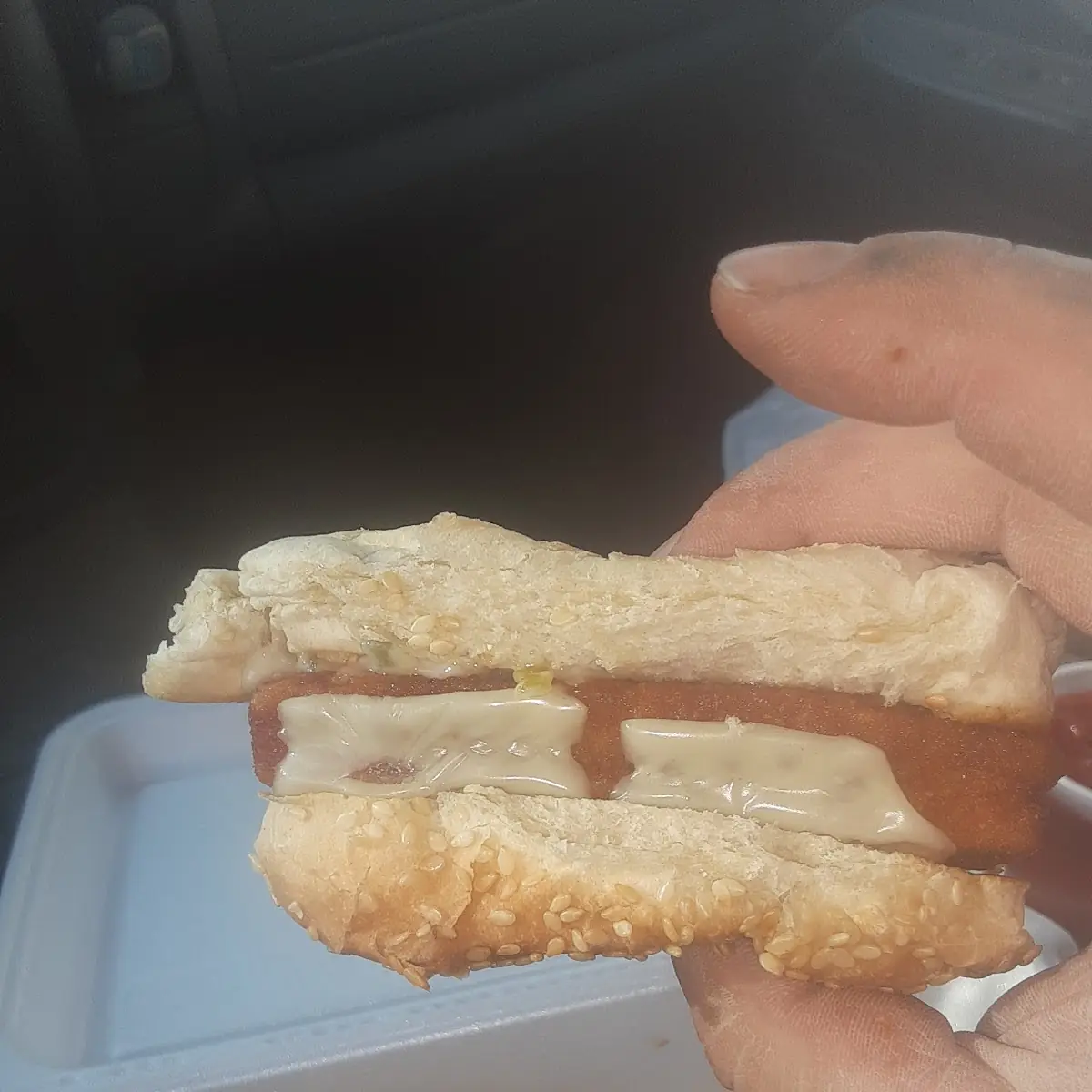 Fish Sandwich
