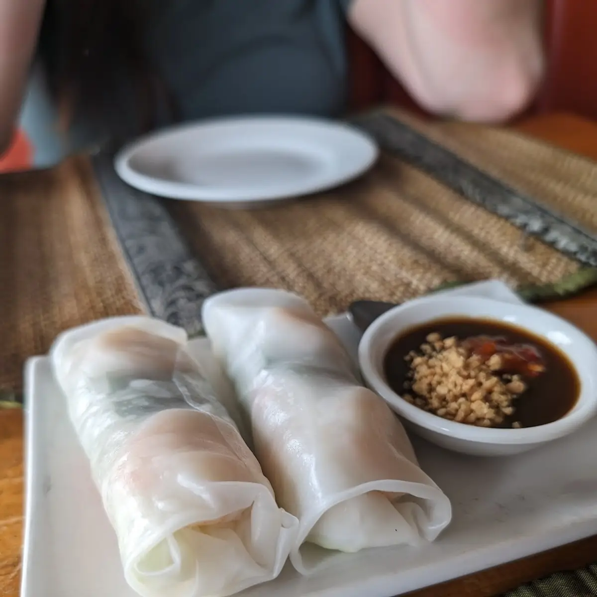Spring Rolls