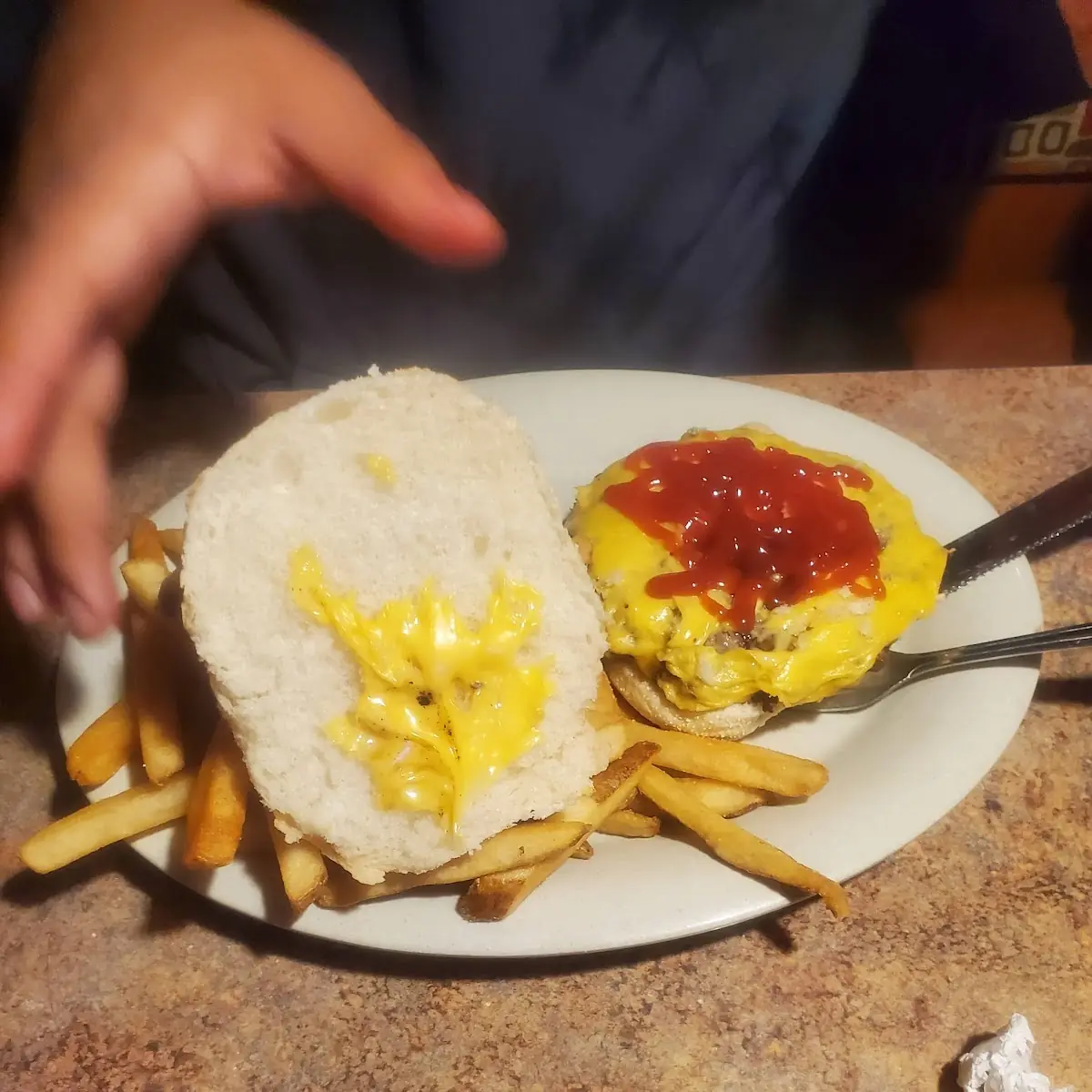 Cheese Burger with Fries
