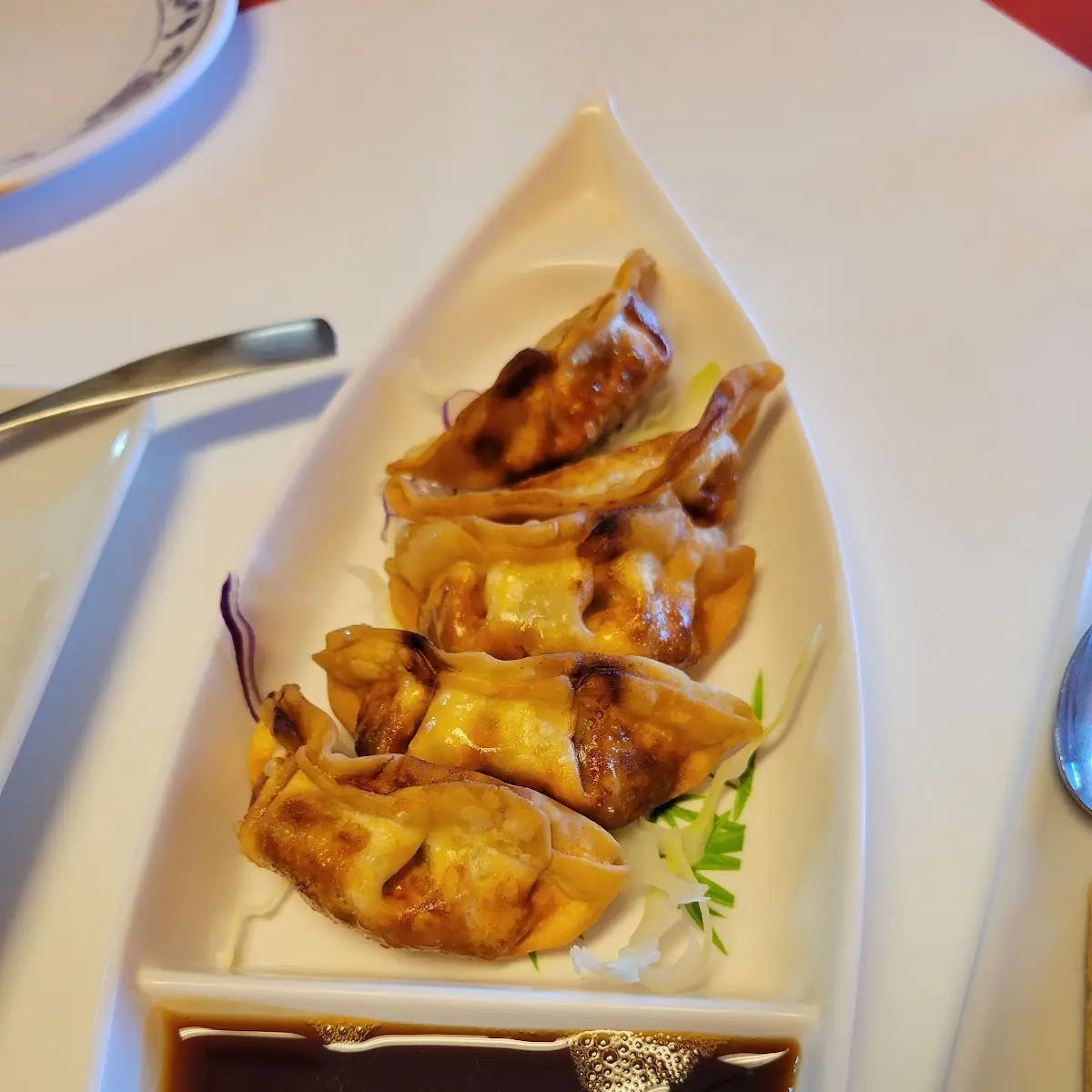 Fried Dumplings