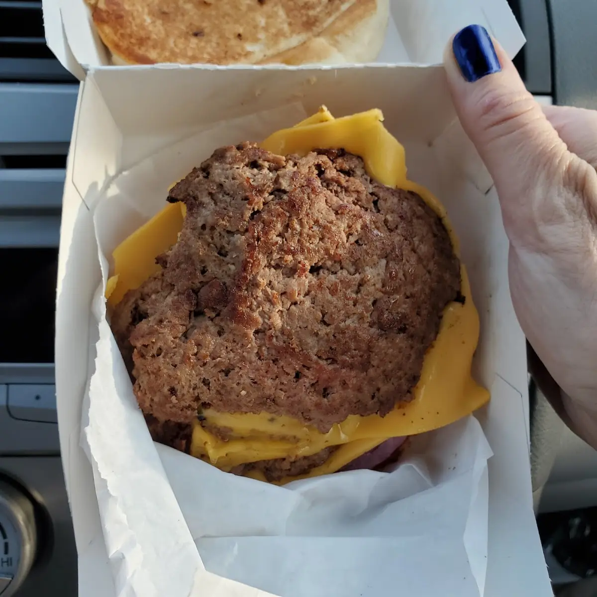 Dried Up Double Cheeseburger