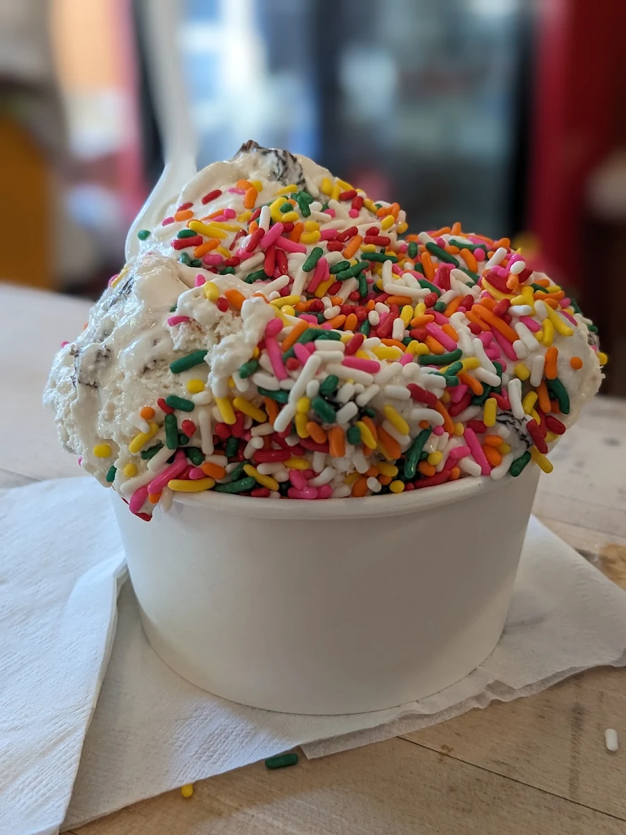 Rum Raisin with Sprinkles