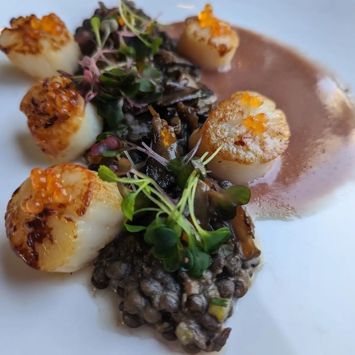 Pan-Seared Hokkaido Scallops