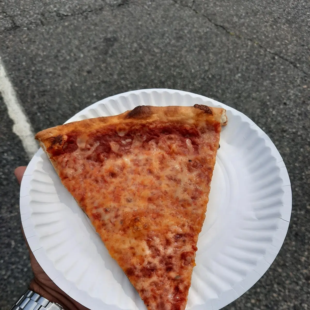 Plain Pizza
