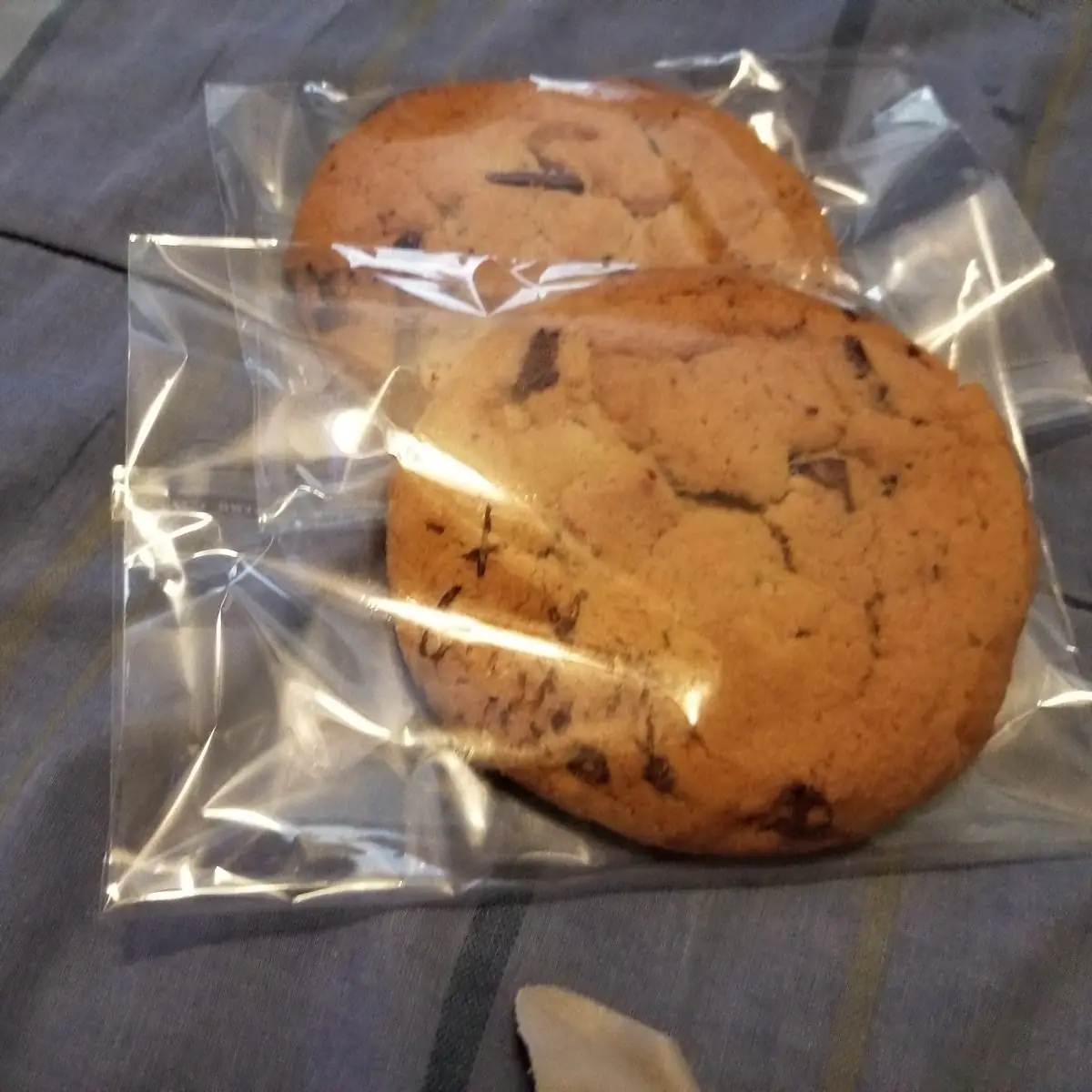 Chocolate Chunk Cookie