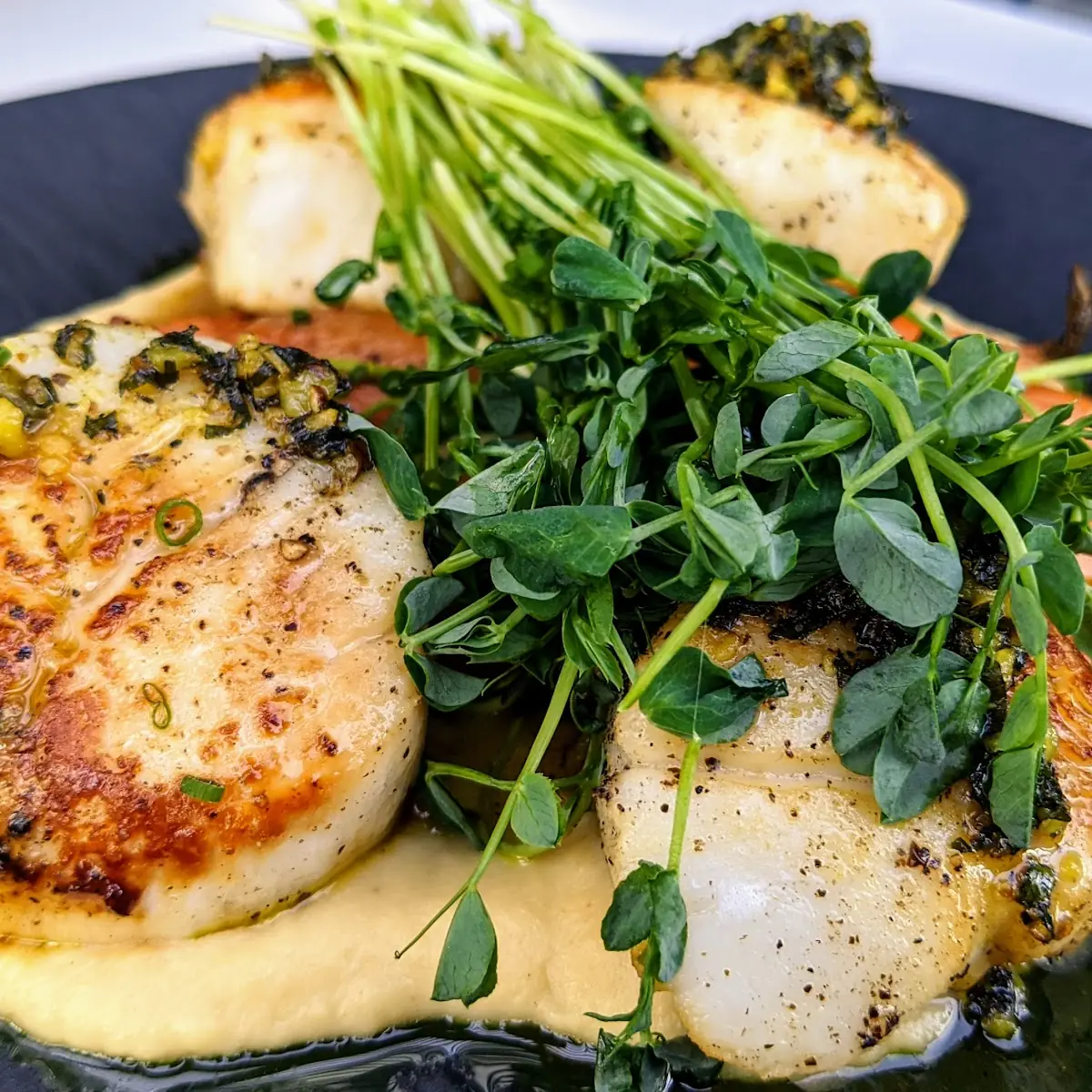 Pan Seared Scallops