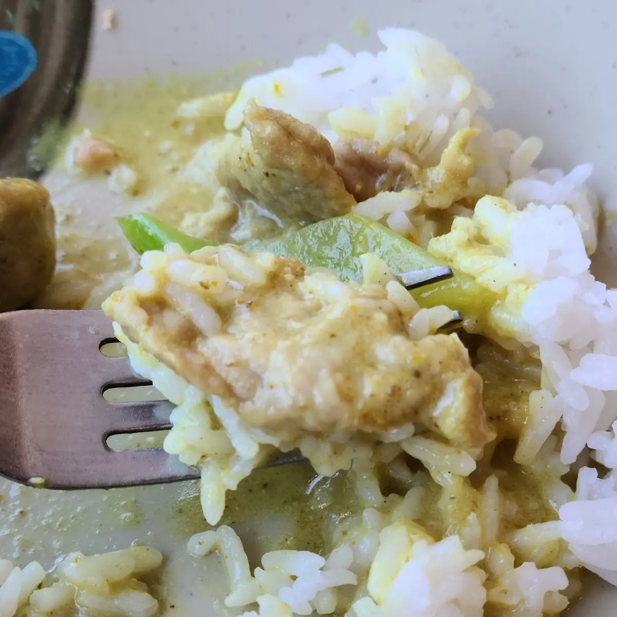 Green Prok Curry with White Rice