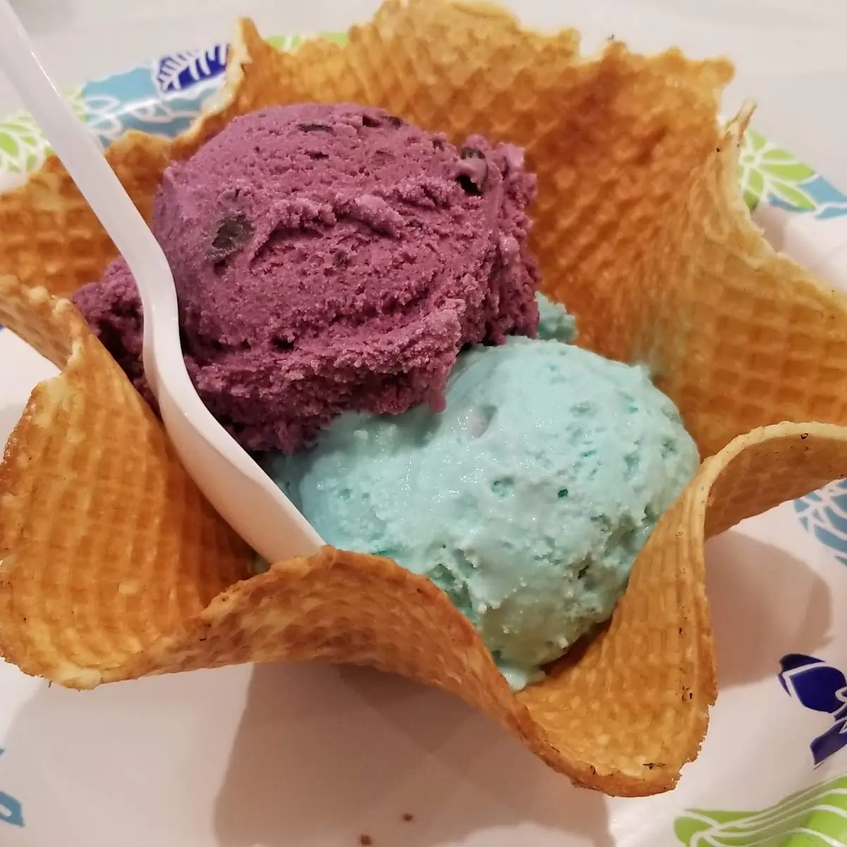 Black Raspberry Chocolate Chip and Cotton Candy in Waffle Bowl