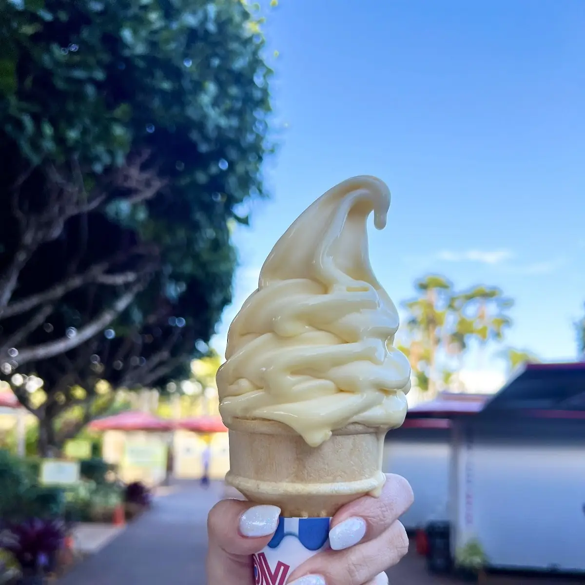 Ice Cream Cone