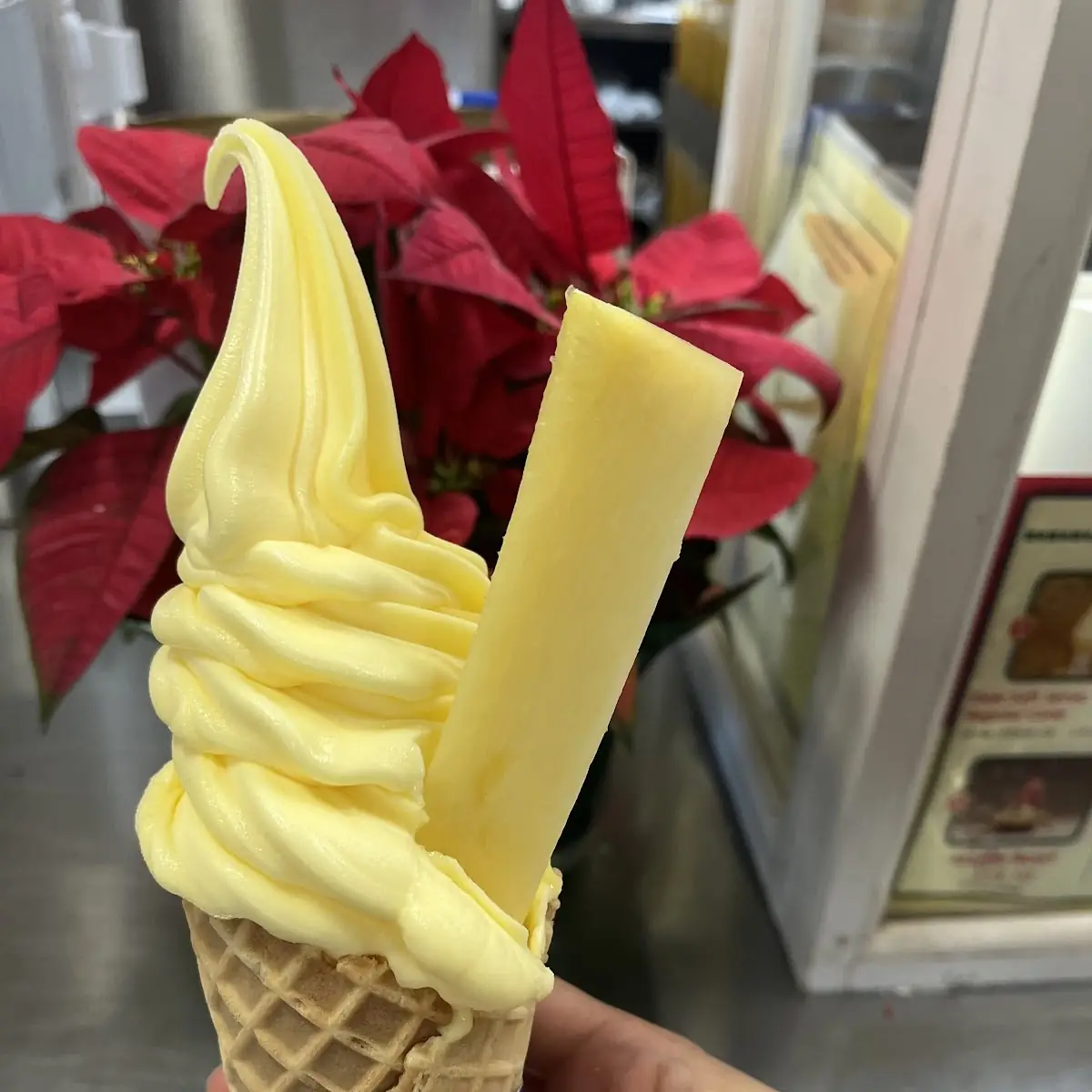 Waffle Cone