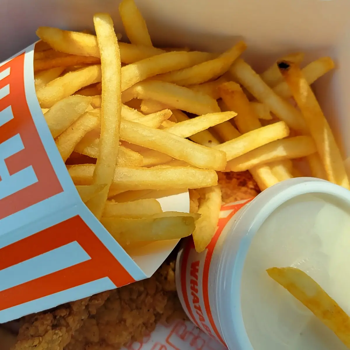 Chicken Strip Combo