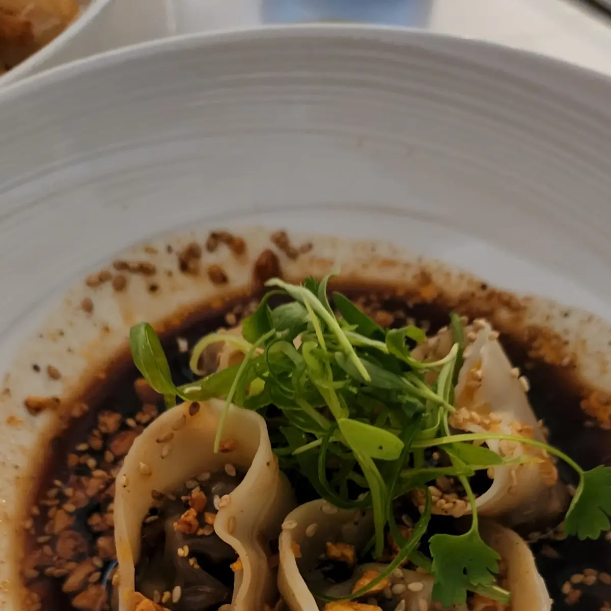 Short Rib Dumplings