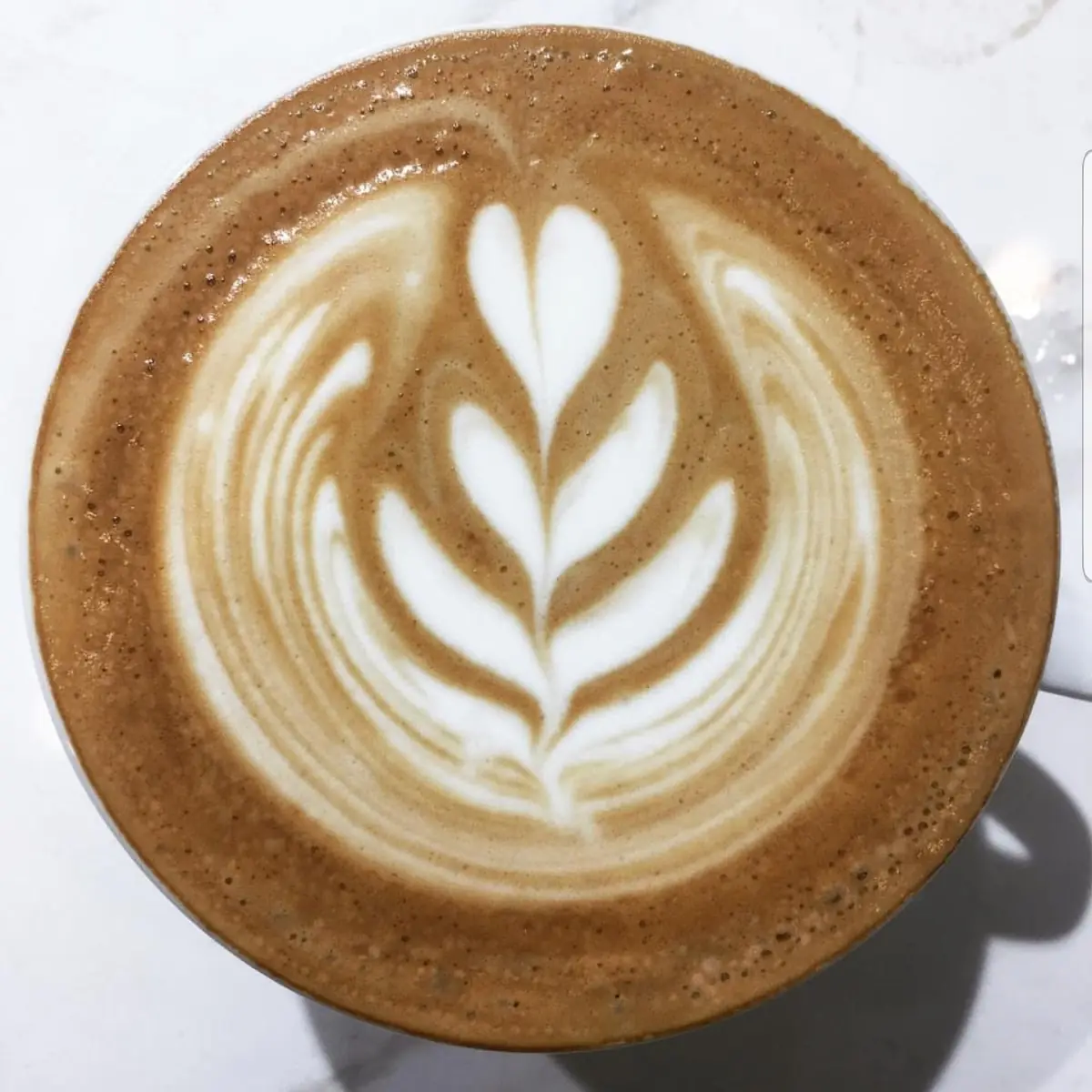 Chippuccino Espresso Milk Foam Carob
