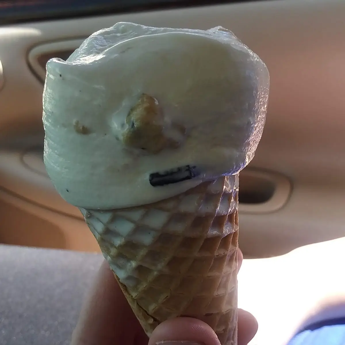 Chocolate Chip Cookie Dough