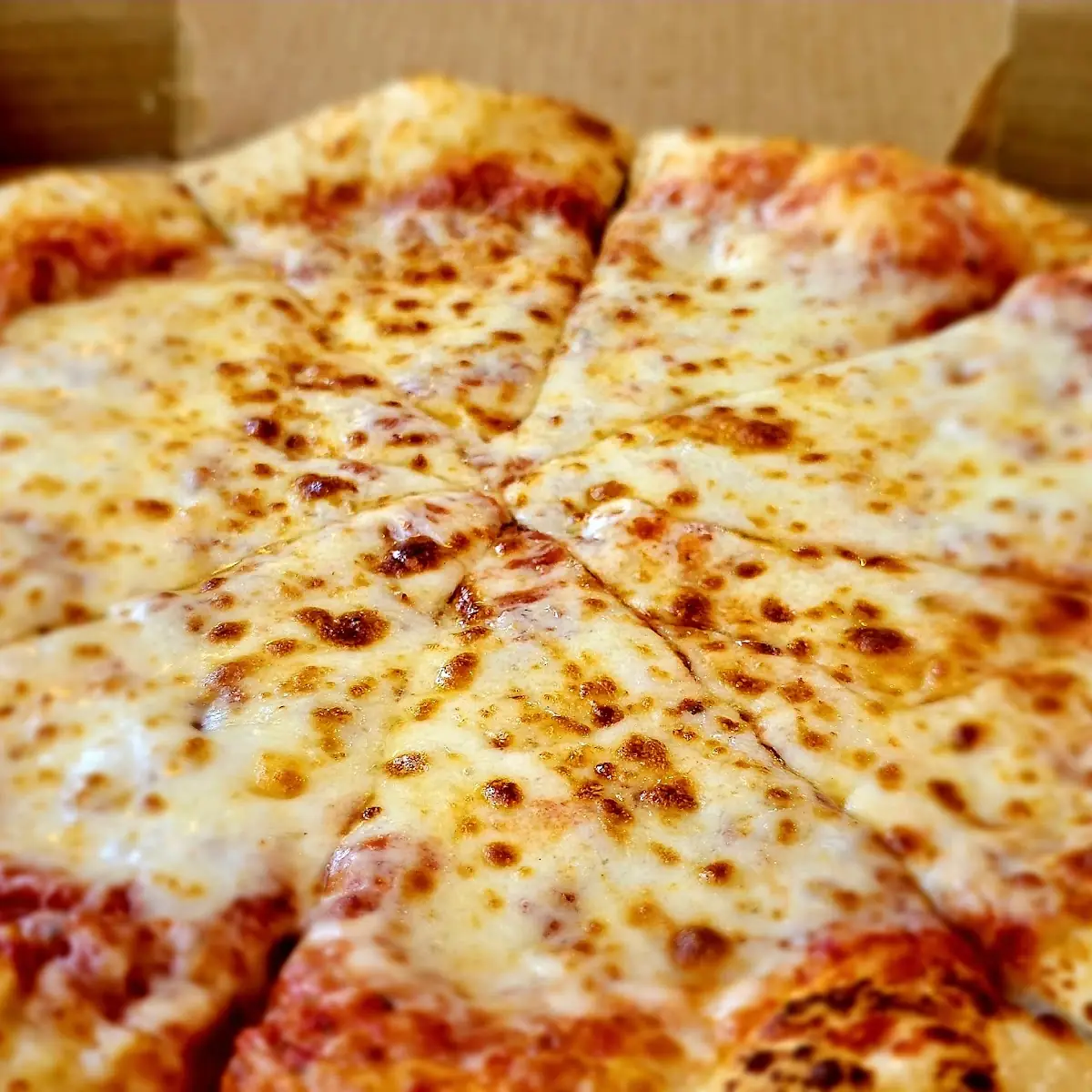 Cheese Pizza