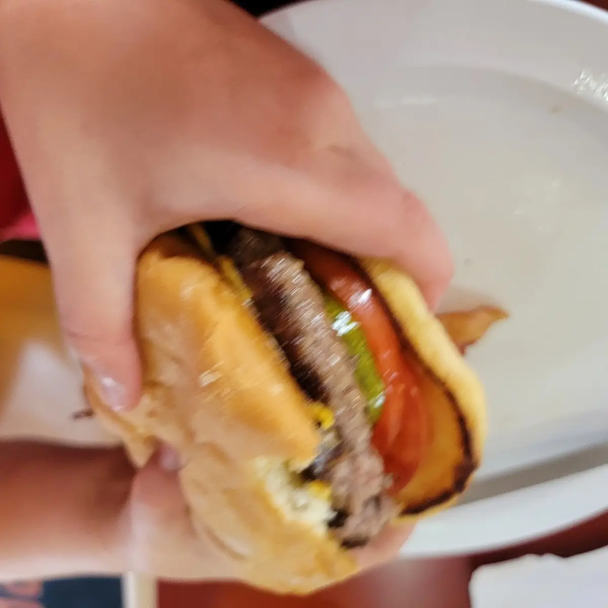 Cheese Burger