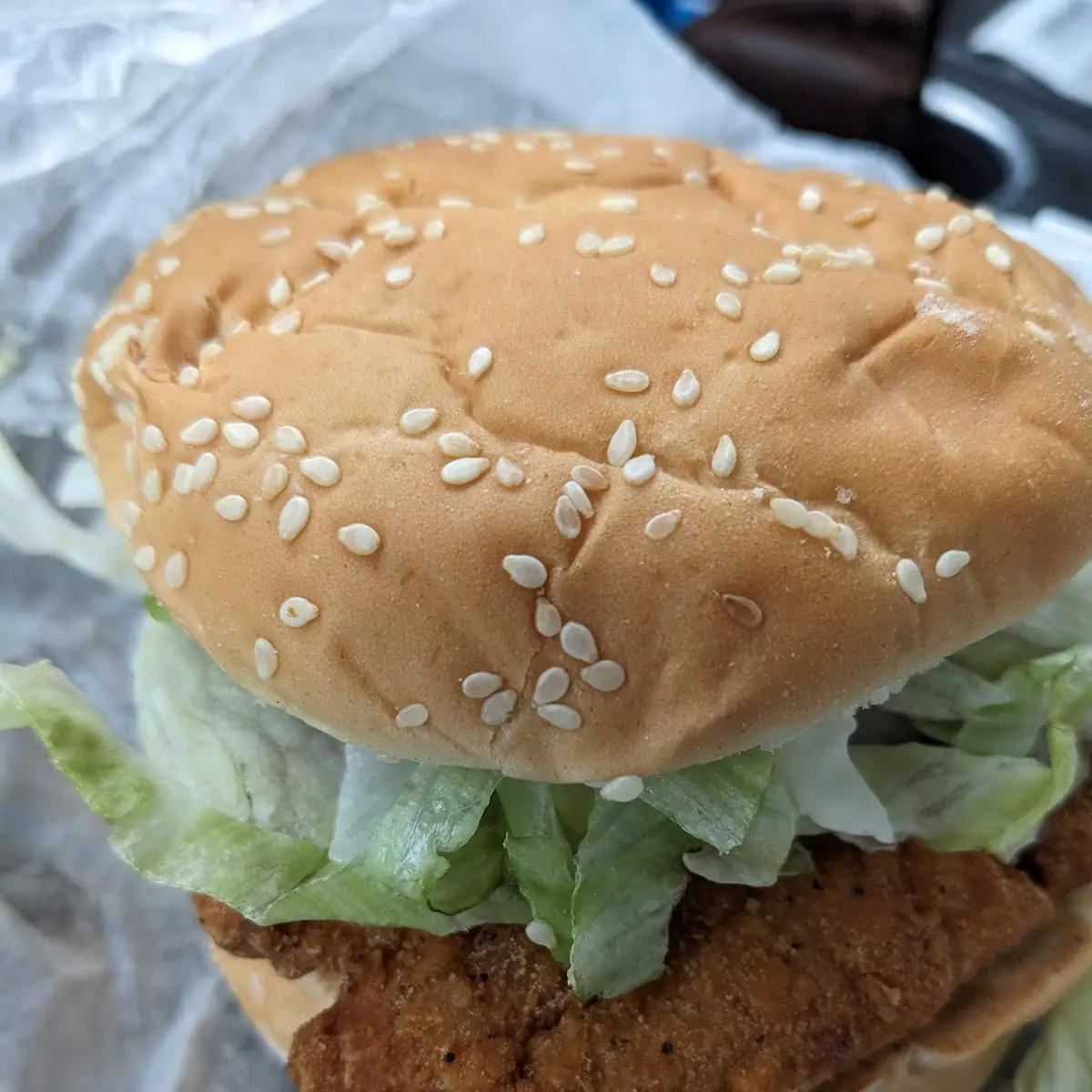 Chicken Sandwich