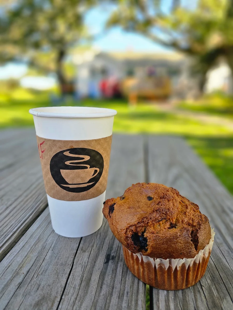 Blueberry Muffin