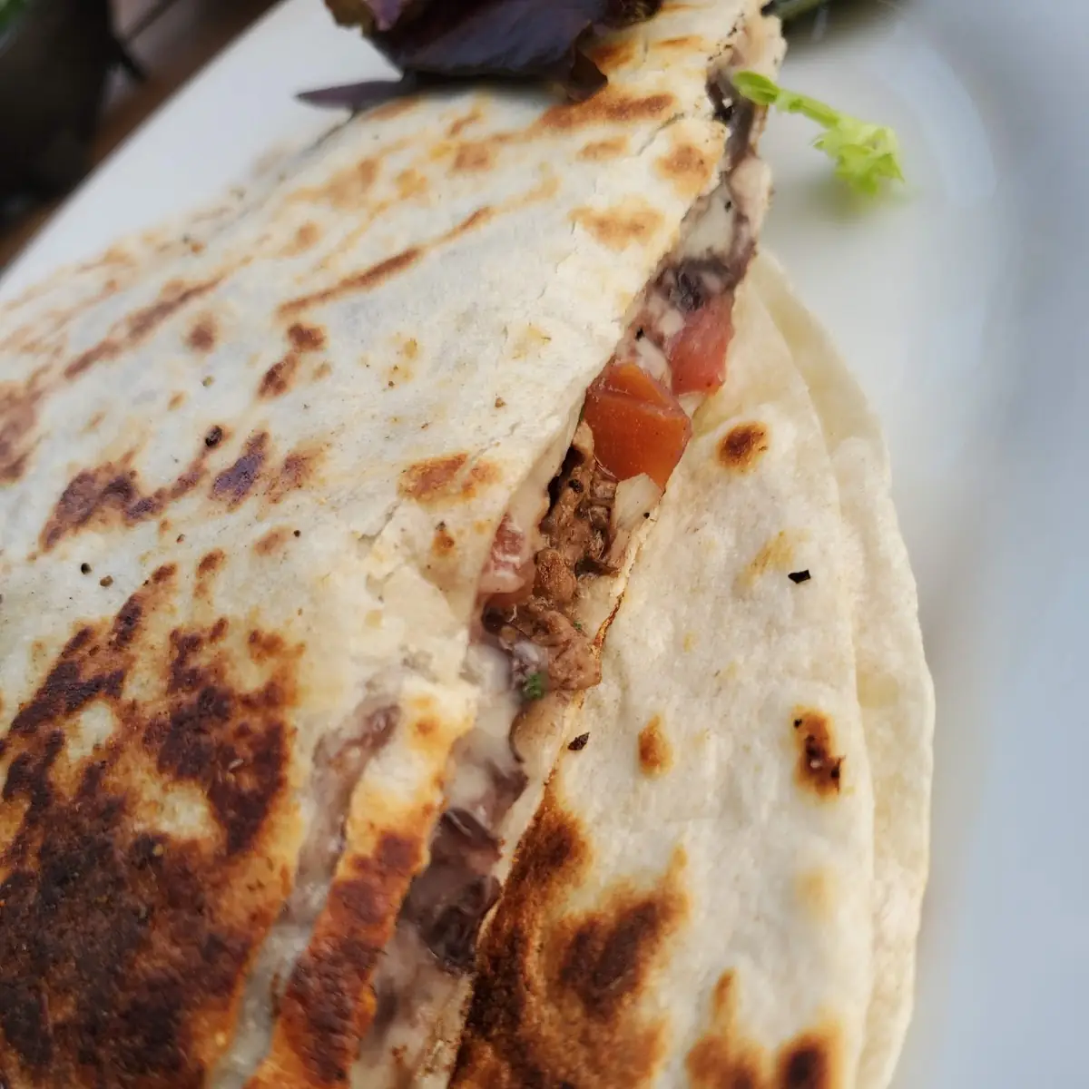 Steak Quesadilla
