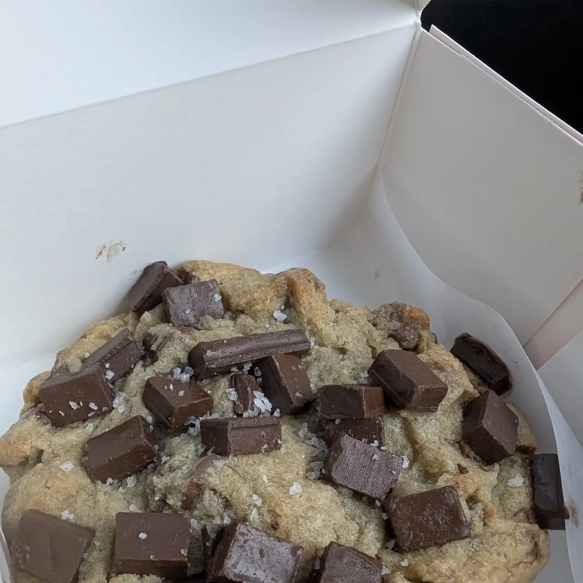 Double Chocolate Chip Cookies