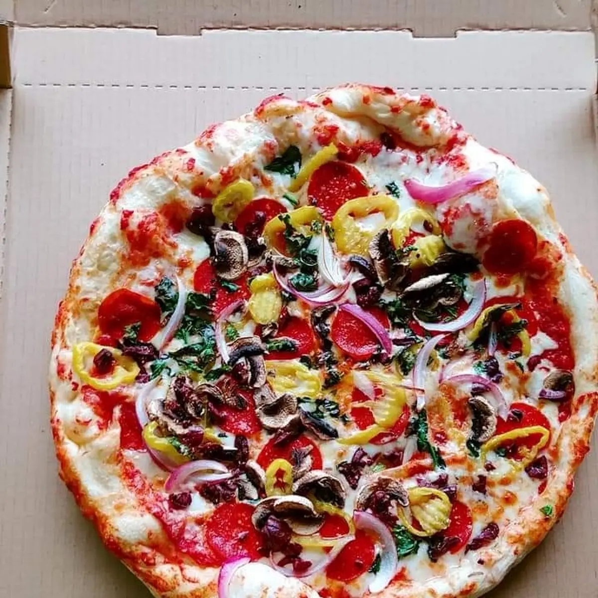 Hand Tossed Pizza
