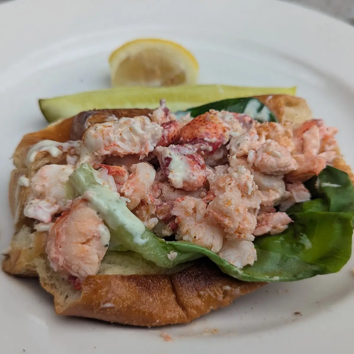 Lobster Roll