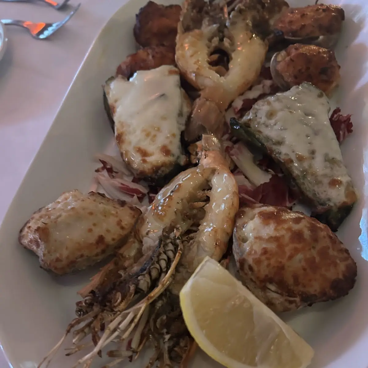 Appetizer Sampler