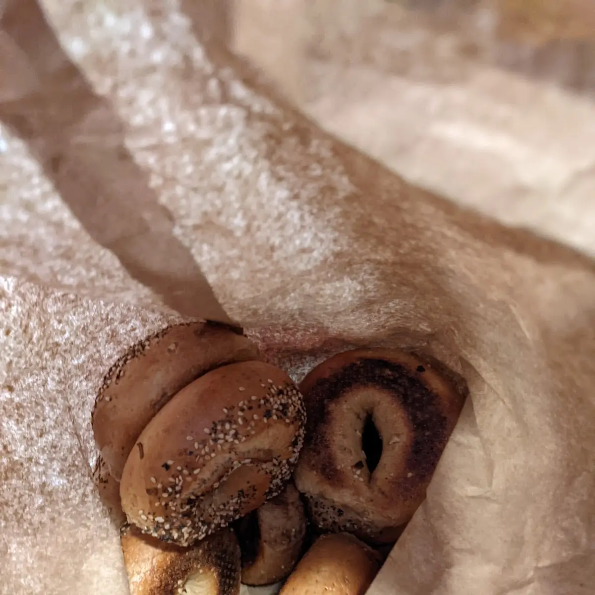 Assorted Bagels