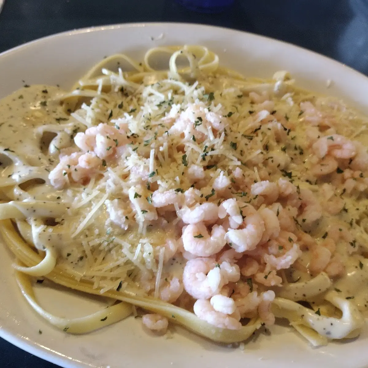 Bay Shrimp Alfredo