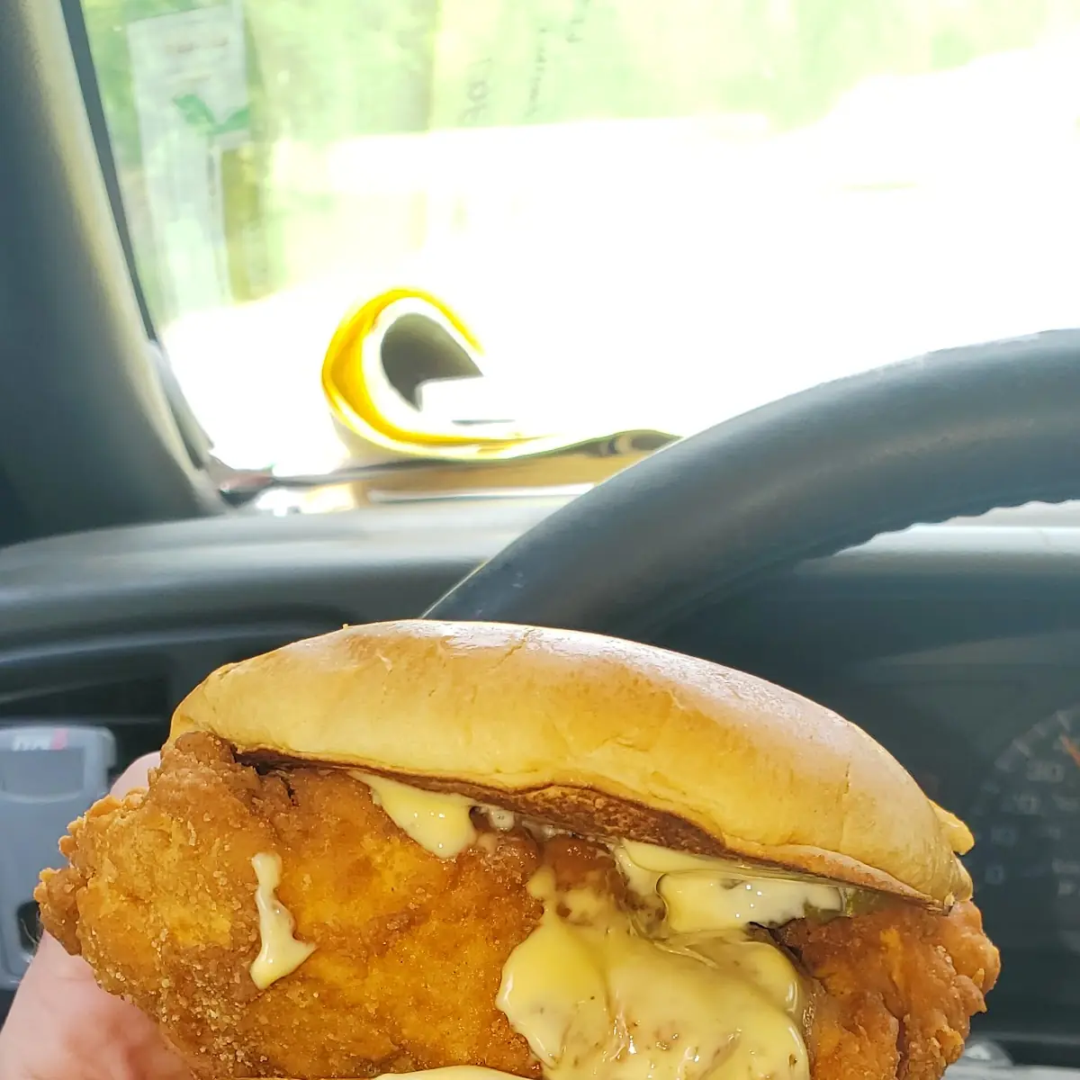 Spicy Chicken Sandwich