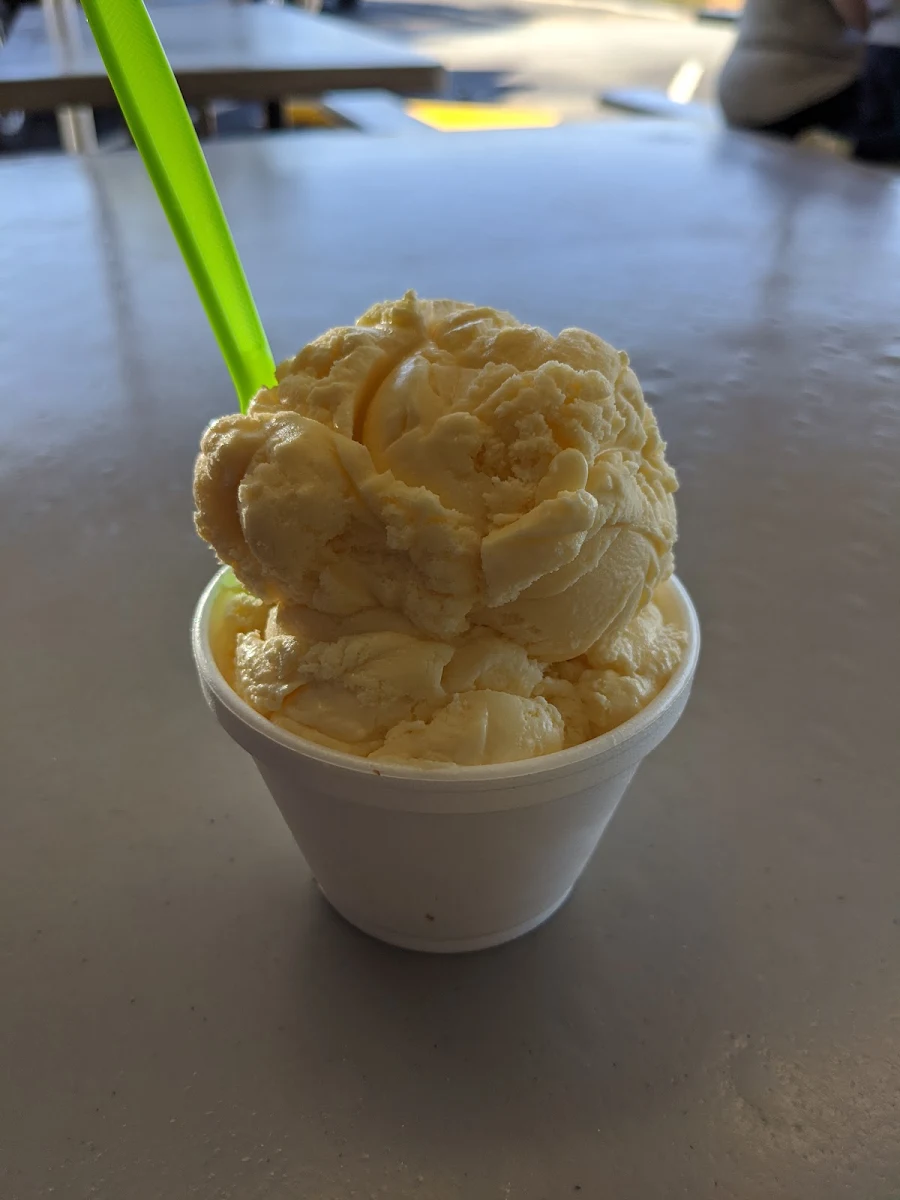 Vanilla Ice Cream