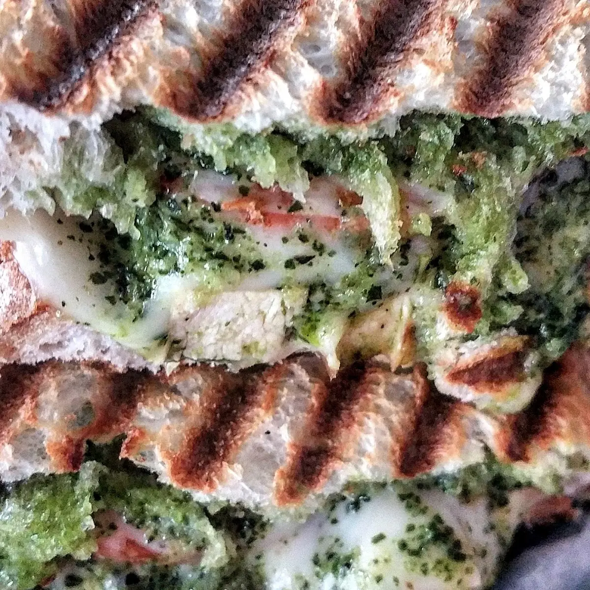 Chicken Pesto Panini