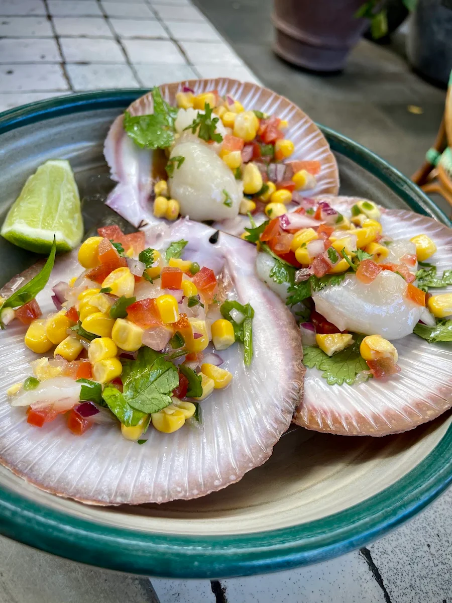 Snapper Crudo, The Potting Shed at The Grounds