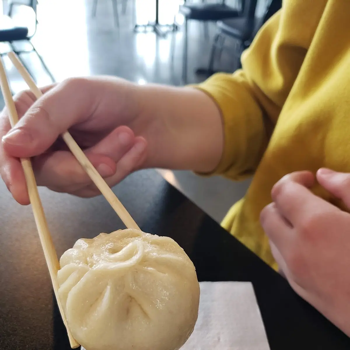 Juicy Pork Dumplings