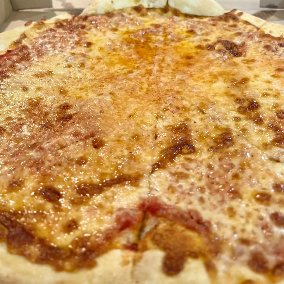 Cheese Pizza 10