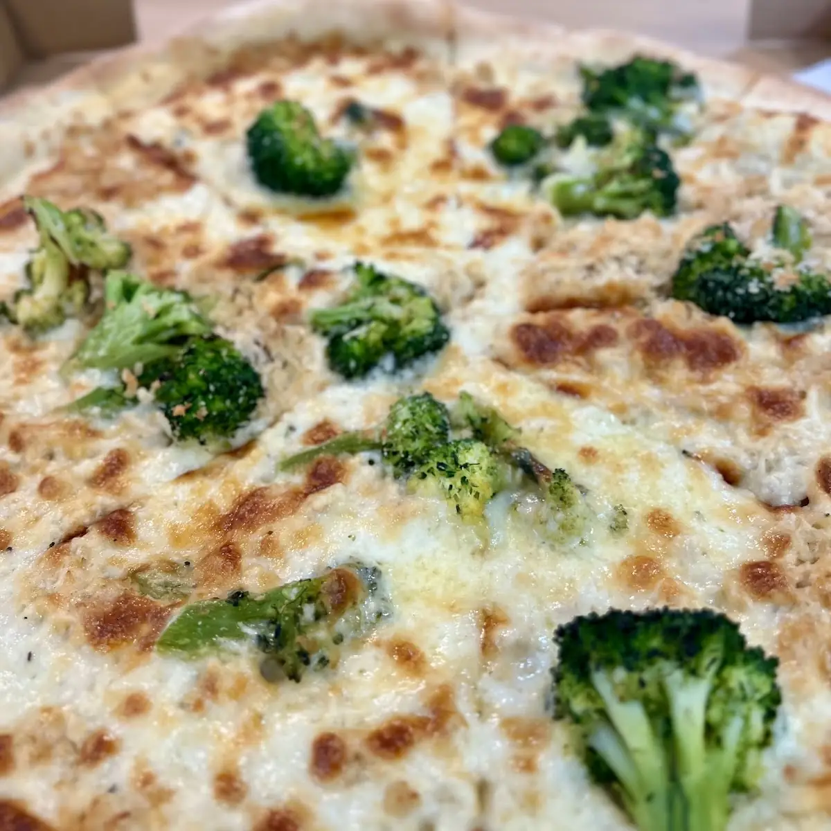 Chicken Broccoli Alfredo