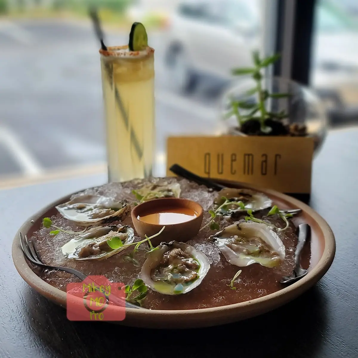 Raw Oysters