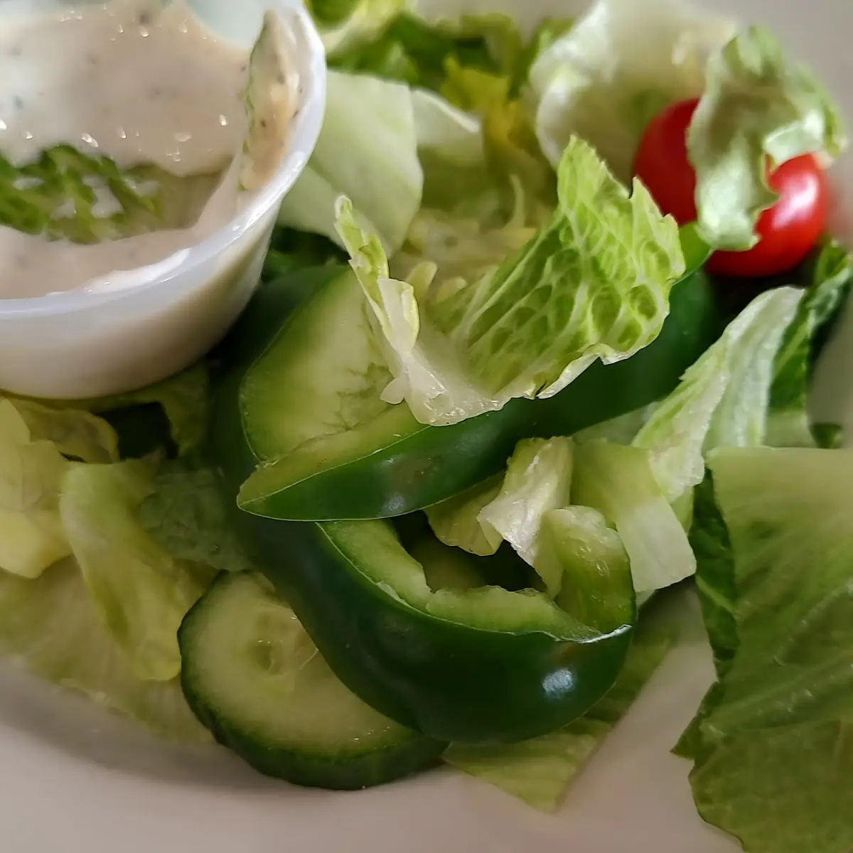 Side Garden Salad