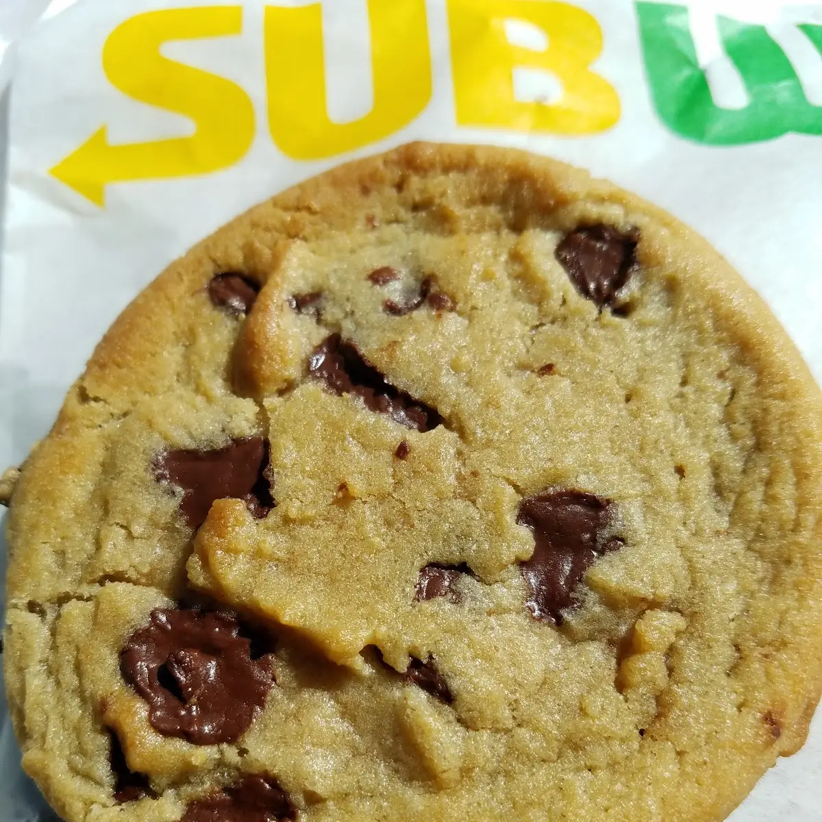Chocolate Chip